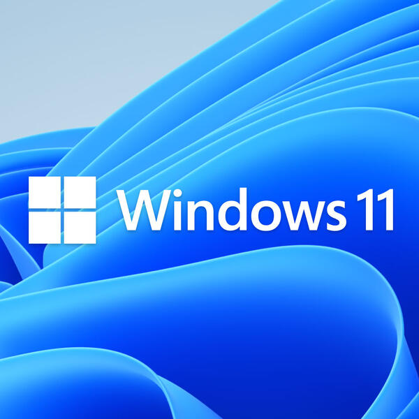 _Windows® 11 IoT Enterprise 2024 LTSC - #VALUE _Components_Accessories_Windows® 11 IoT Enterprise 2024 LTSC - #VALUE