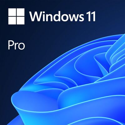 _Components_Accessories_Windows® 11 Professional OEM - 64bit